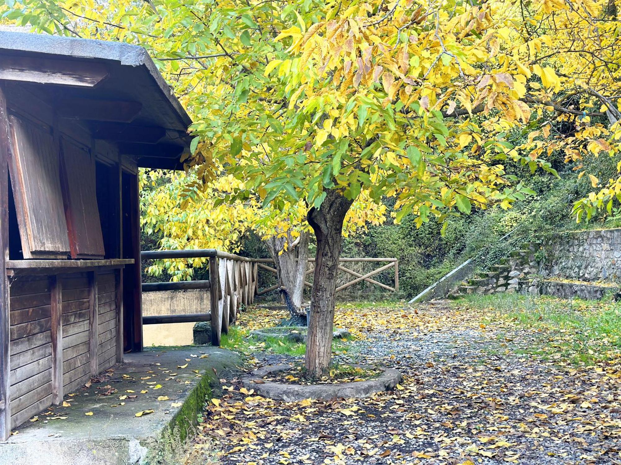 Ferienwohnung Suenos De Monachil Exterior foto